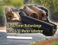 Preview: EPDM Kautschukfolie 1,52 mm  Rollenbreite 6,10 Meter  Preis/m²