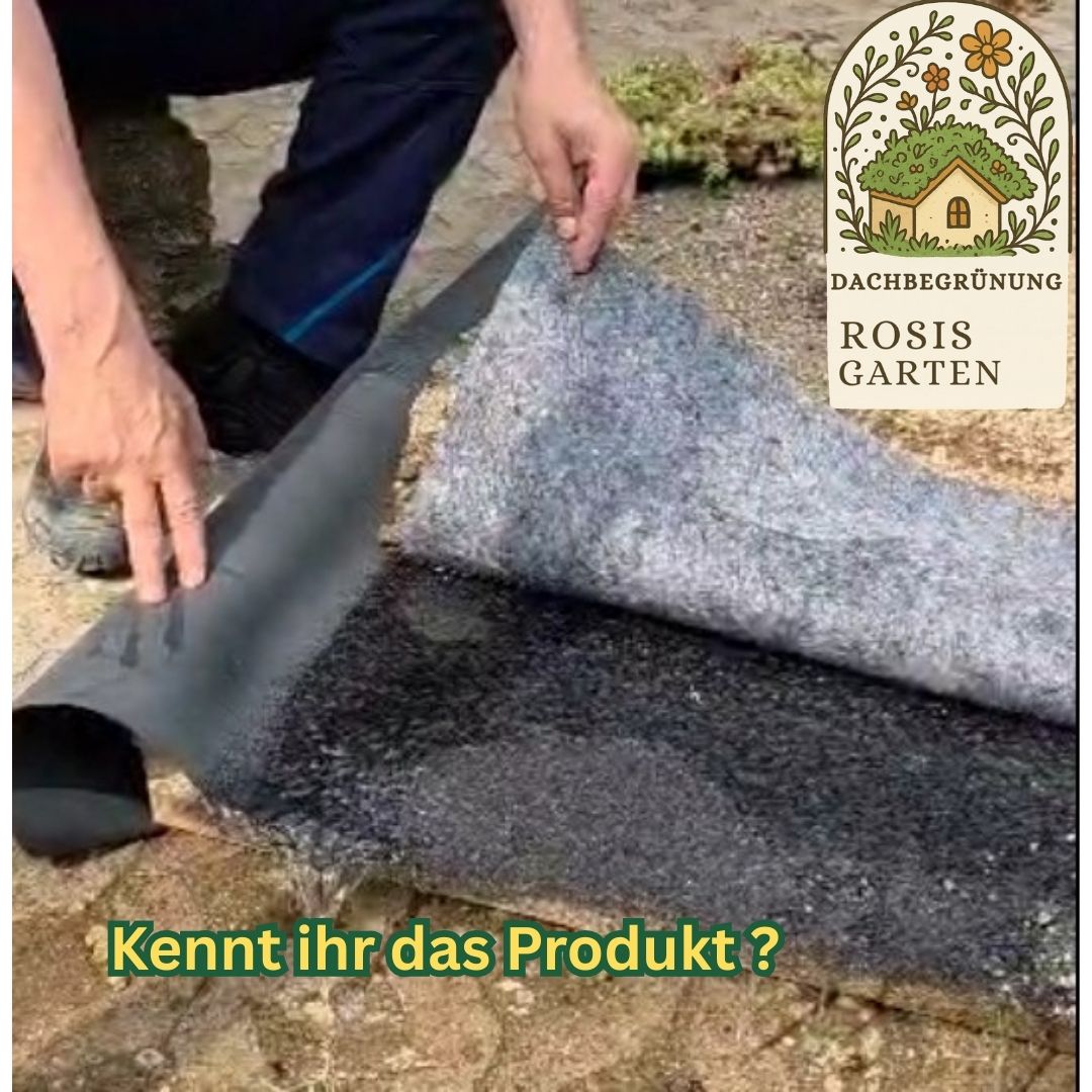 Wurzelhüter Drainage Dachbegrünung