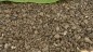 Preview: Bims 2