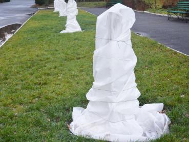 10 m² Winterschutzvlies 300g/m2