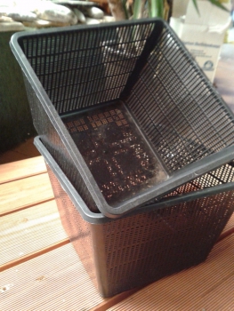 Preview: Pflanzkörbe Pflanzkorb Teich