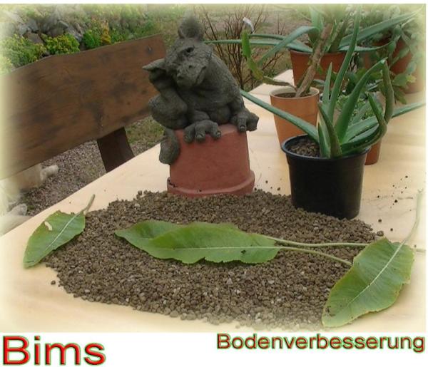 Bims 2-8 mm im BigBag 1000 Liter