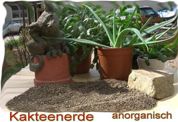 Anorgansische Kakteenerede