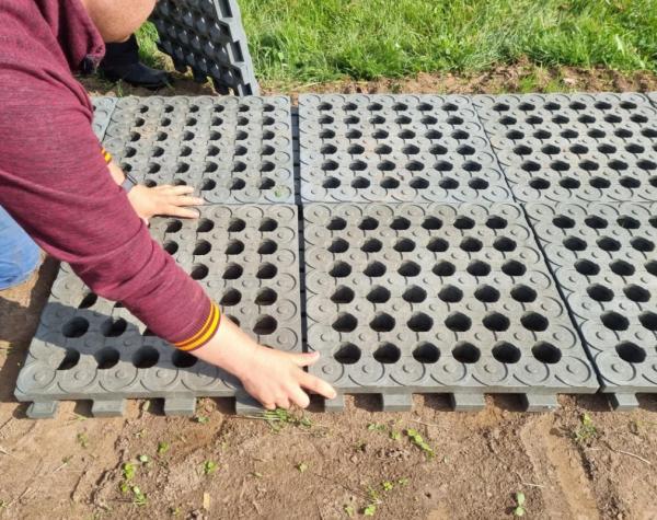 Rasengittersteine Kunststoff bepflanzt