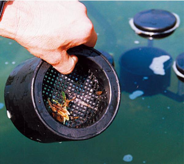 Schwimmskimmer 200