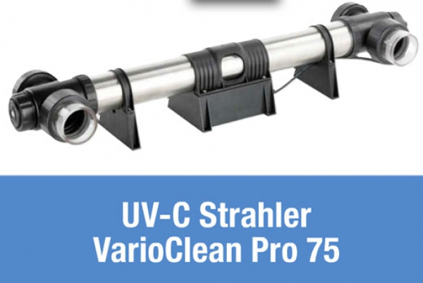 sauberes Wasser duch UVC