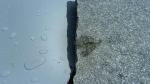 Teichfolie Grau 1,5mm 2 x 7 Meter
