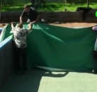 Folienblech Folienverbundblech 5 cm Wandanschlussleiste für Teichfolie Teichbau